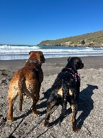 Amy and Mack