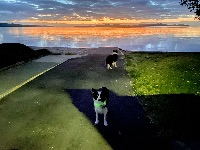 Nick and Shilo