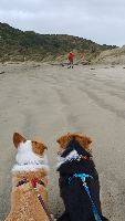 Christine and Niamh