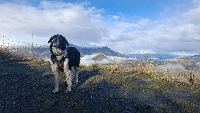 Natalie and Rey