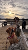 Grace and chloe