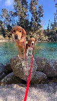 Grace and chloe