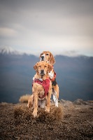 Grace and chloe