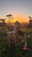 Grace and chloe