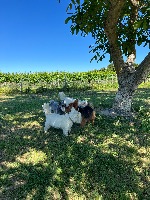 Kerry and Fergus