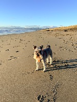 Kerry and Fergus