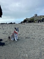 Kerry and Fergus