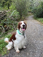 Helen and Gryff