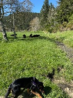 Molly and Tess