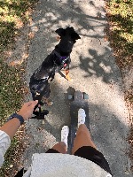 Molly and Tess