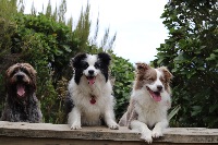 Amber and Roo