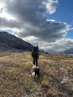 Amber and Roo