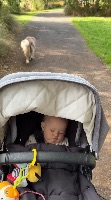 Amber and Roo