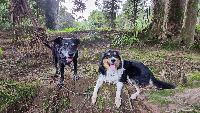 Emily and Tui