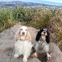 Shona and Missy