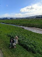 Shona and Missy