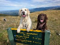 Rachael and Ranger