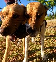 Inge and Pip