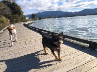 Inge and Pip