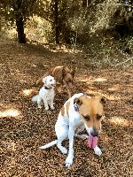 Inge and Pip