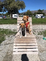 Inge and Pip