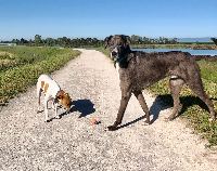 Inge and Pip