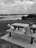 Inge and Pip