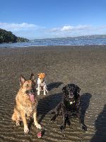 Inge and Pip