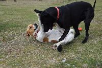 Inge and Pip