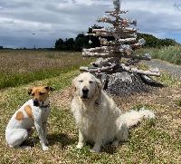 Inge and Pip