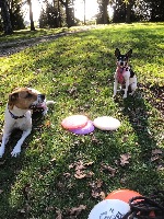 Inge and Pip