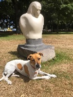 Inge and Pip