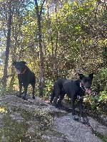 Roxy and Doug