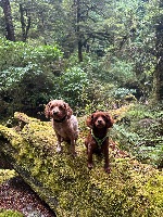 Dre and Hazel