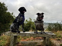 Georgina and Ash