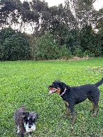 Amy and Minnie