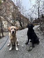 Isabella and Mako