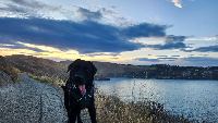 Cristina and Blue