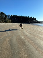 Melissa and Indiana