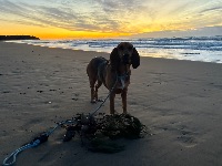 Melissa and Indiana