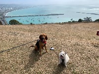 Melissa and Indiana