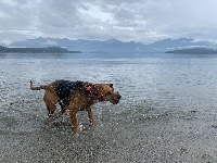 Melissa and Indiana