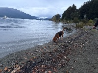 Melissa and Indiana