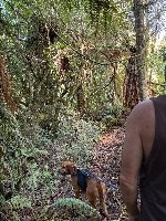 Melissa and Indiana