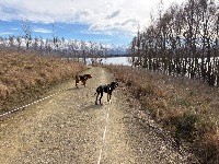 Melissa and Indiana