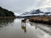Melissa and Indiana