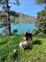Melissa and Indiana
