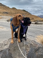 Melissa and Indiana