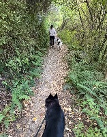 Chris and Bear