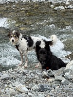 Chris and Bear
